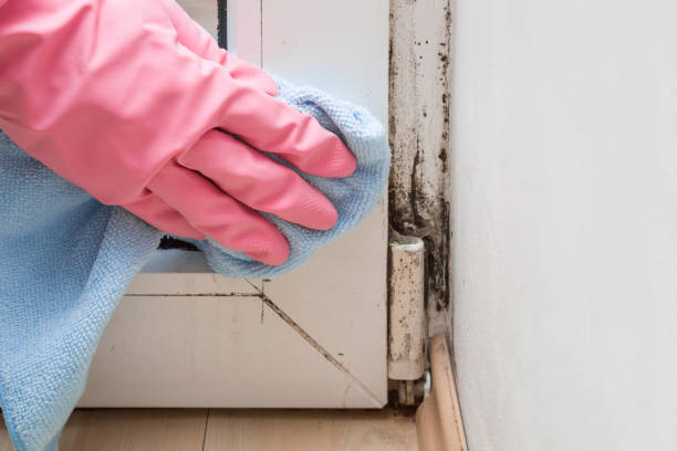 Crawl Space Mold Removal in Cumming, GA